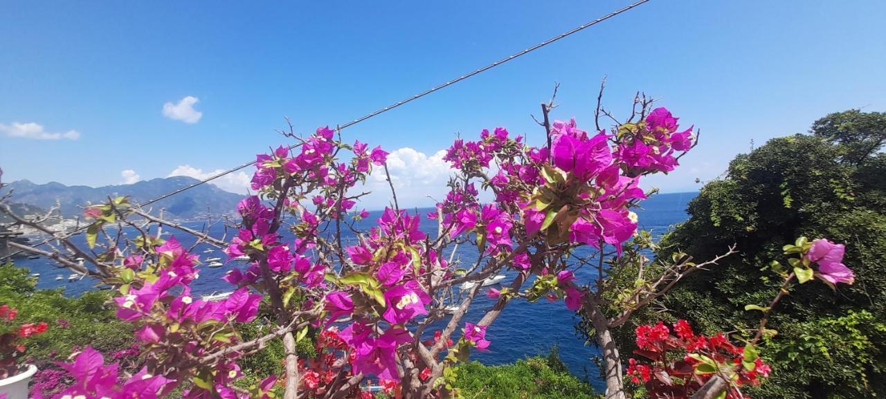 Villa Gianna Amalfi Coast กองกาเดมารีนี ภายนอก รูปภาพ